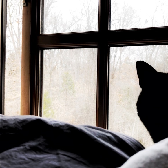 Meet your Posher, Sinead - Picture 4 of 7